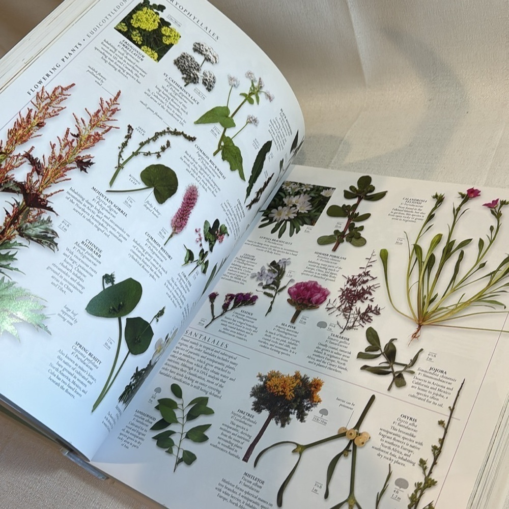 Smithsonian Natural History ultimate visual guide DK Publishing Hardcover - Picture 11 of 11